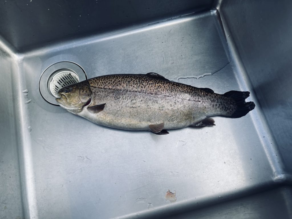 【驚ロック５０ｃｍ】全体