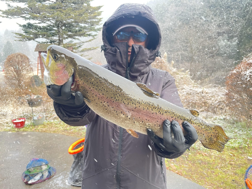 【頂鱒５２ｃｍ】全体