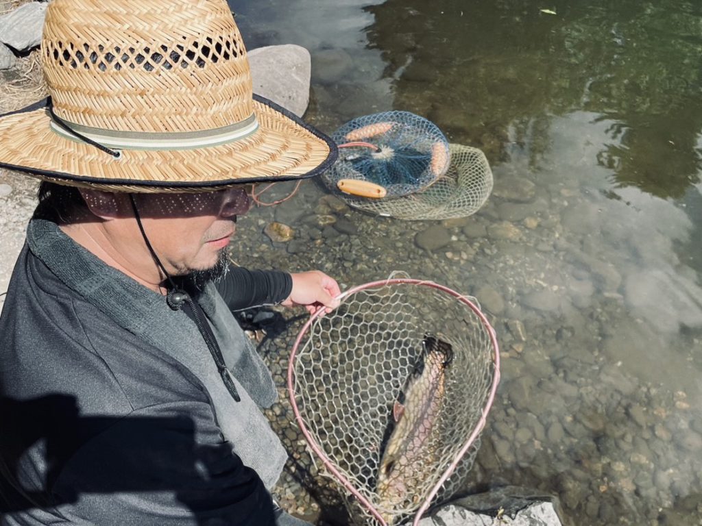 【驚ロック５９ｃｍ】全体