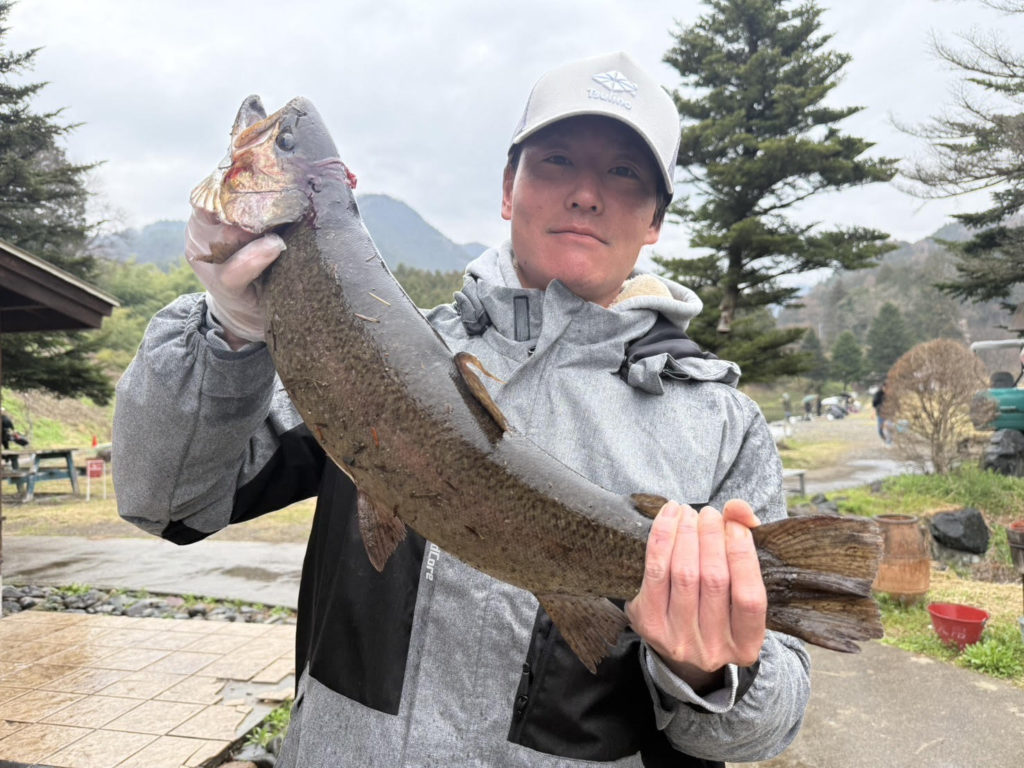 【驚ロック６３ｃｍ】全体