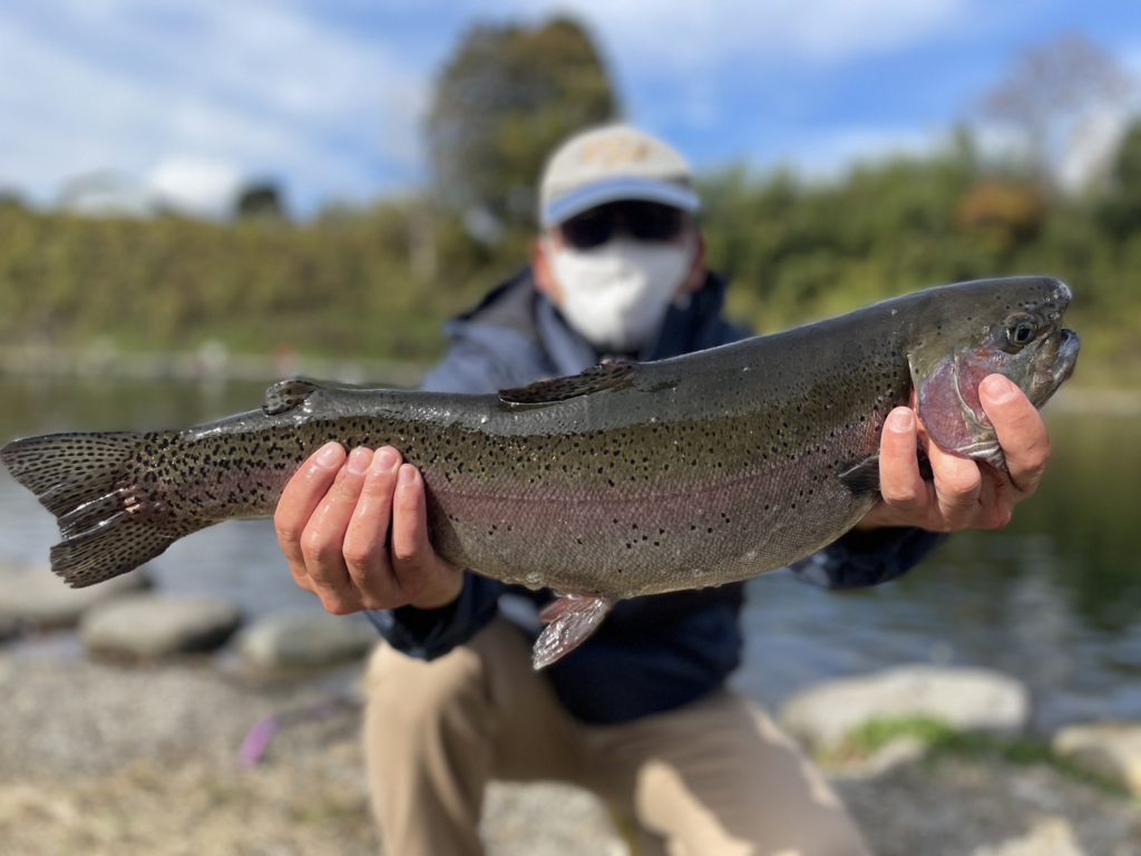 【頂鱒５７ｃｍ】全体