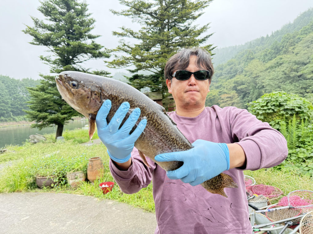 【驚ロック５４ｃｍ】全体