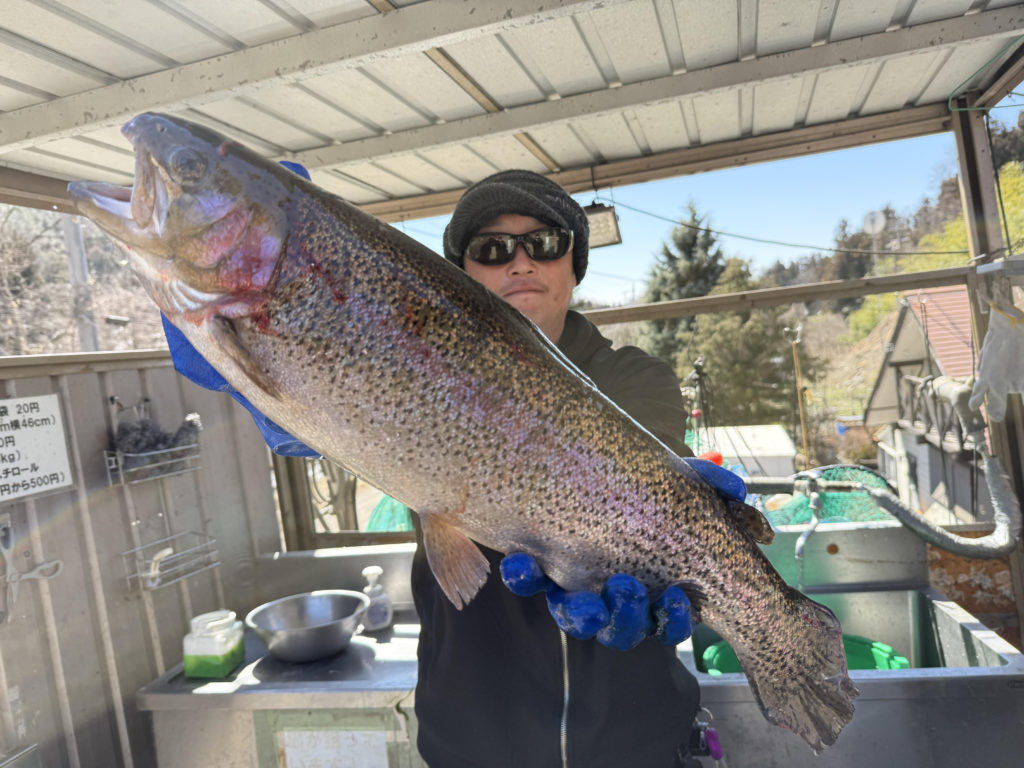 【頂鱒５６ｃｍ】全体
