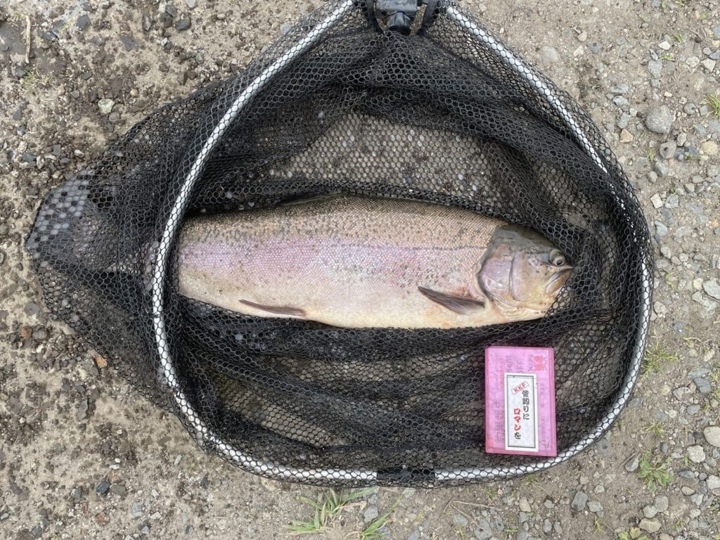 【驚ロック５５ｃｍ】全体