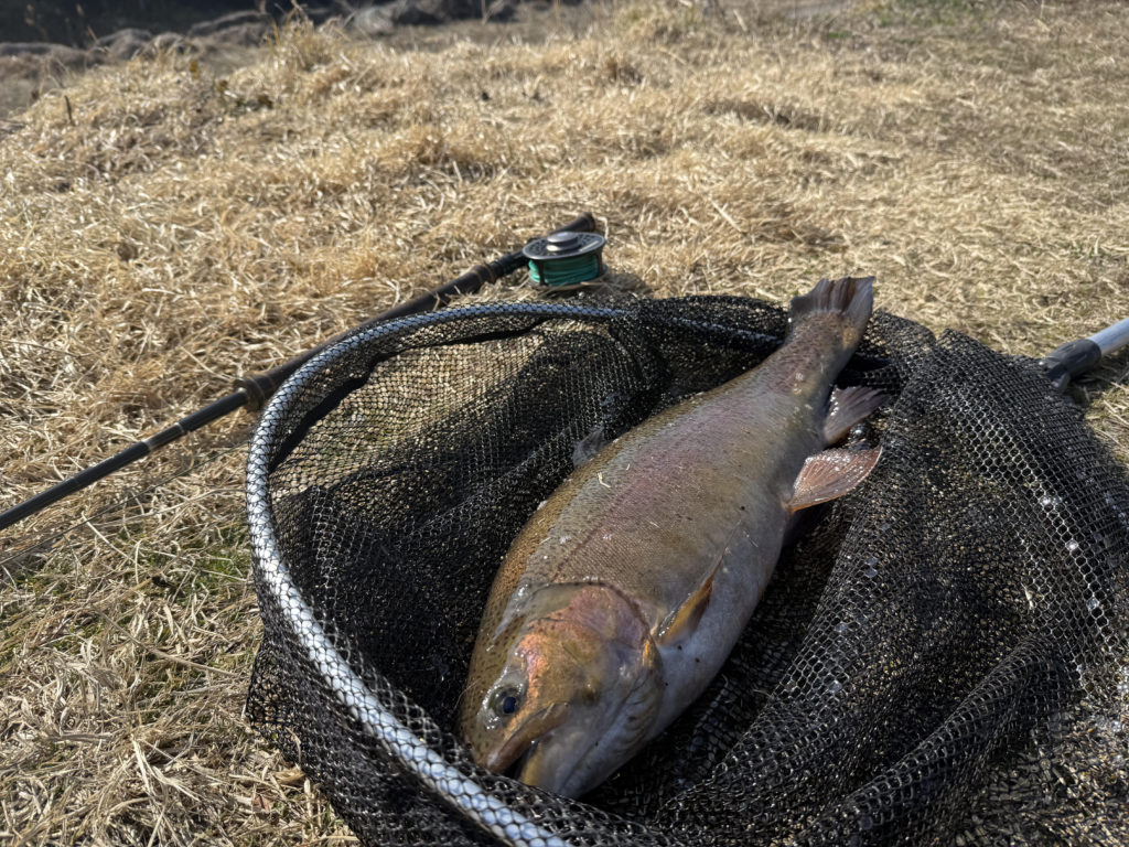 【驚ロック６０ｃｍ】全体