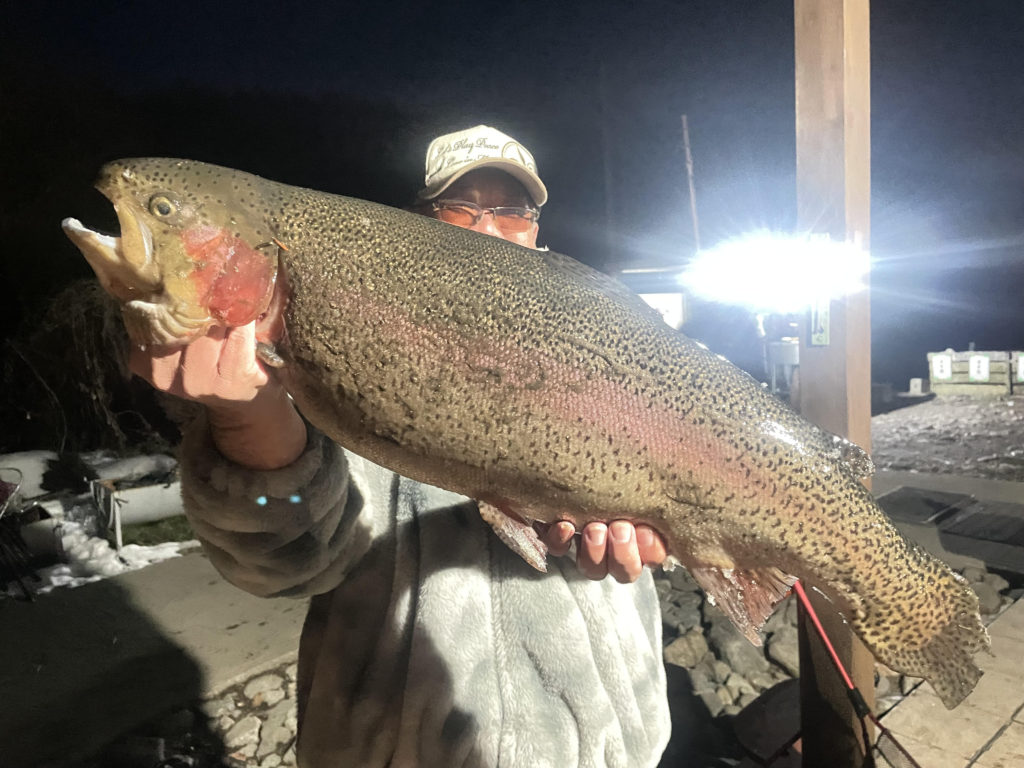 【頂鱒７５ｃｍ】全体