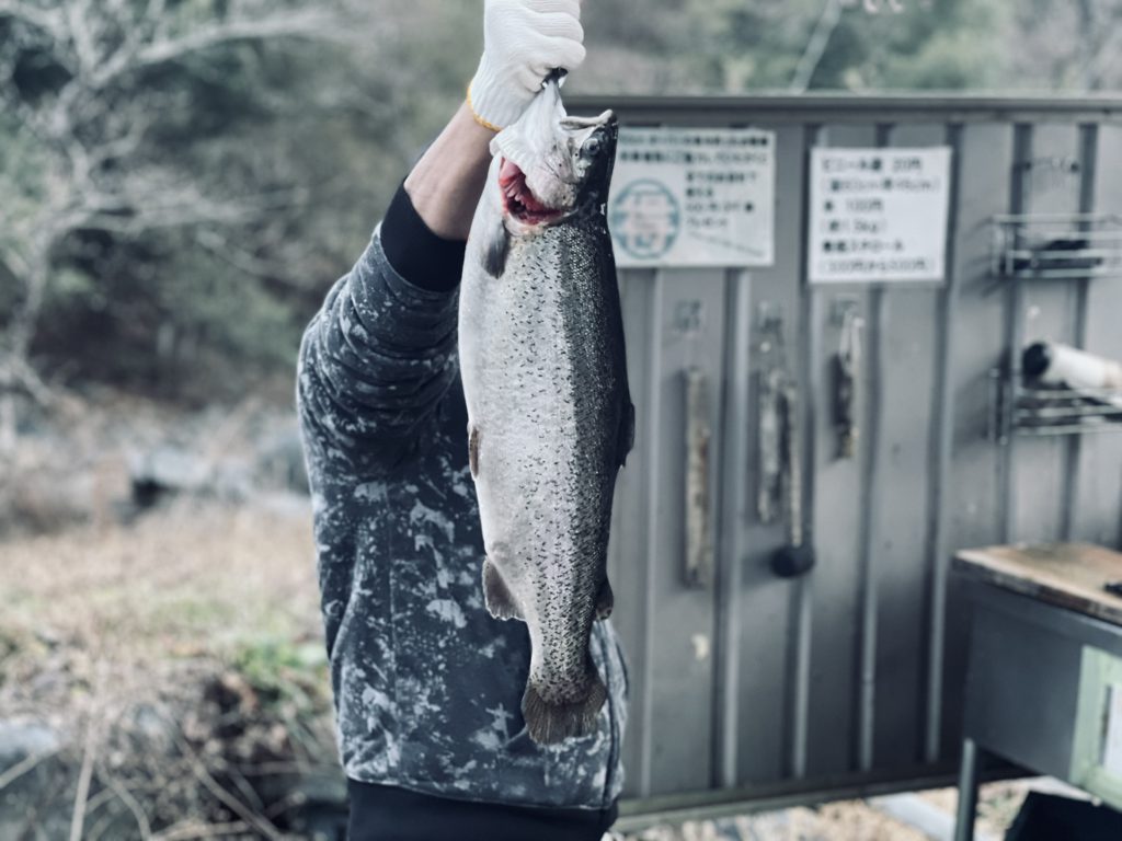 【頂鱒５７ｃｍ】全体