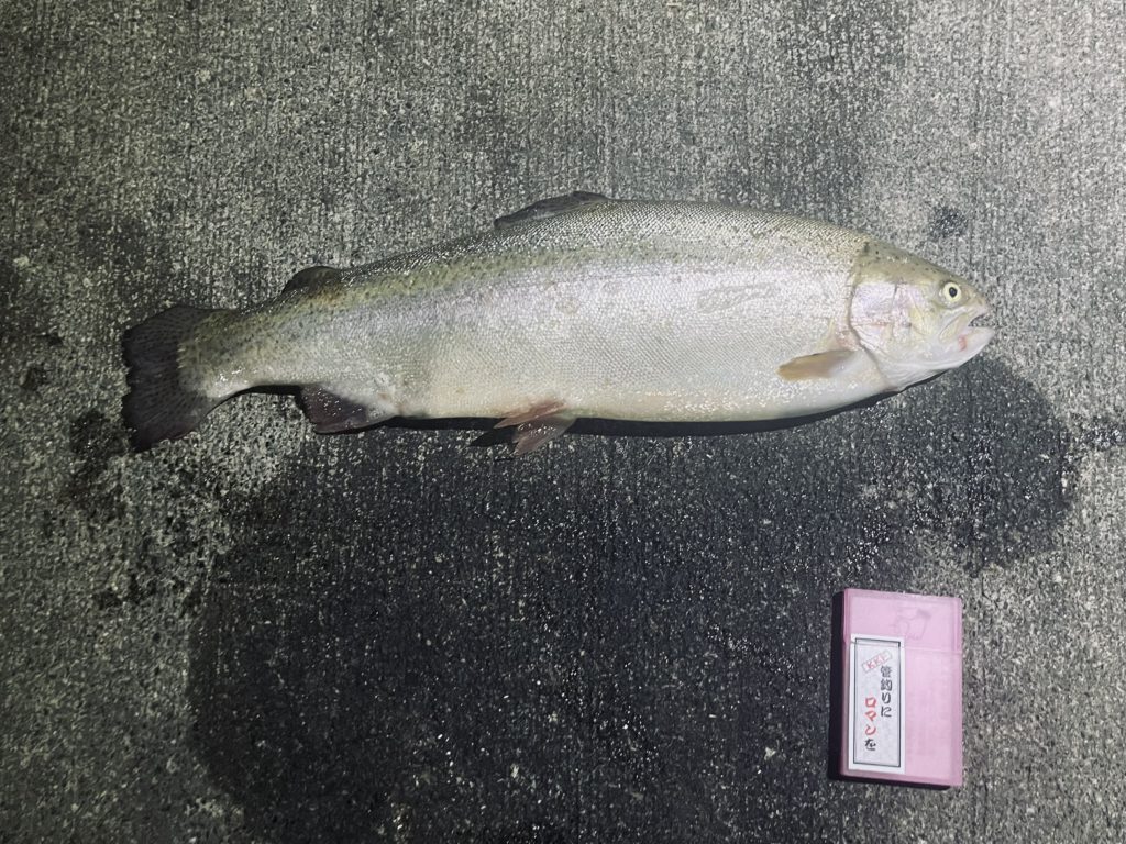 【頂鱒５２ｃｍ】全体