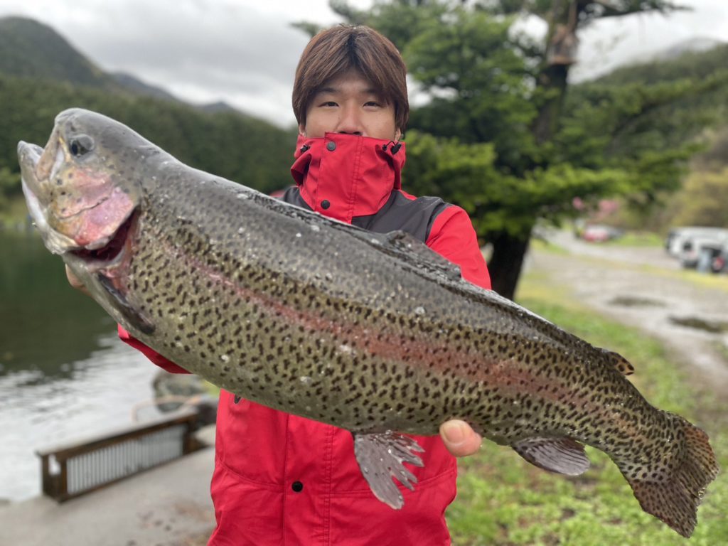 【頂鱒５５ｃｍ】全体