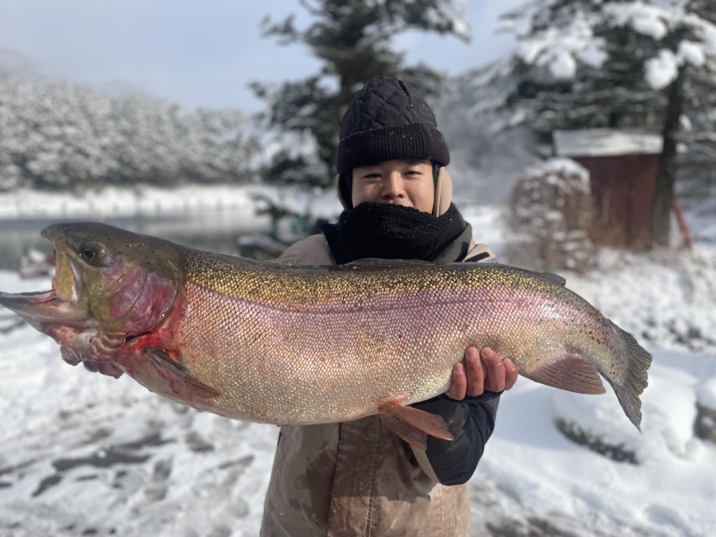 【頂鱒９０ｃｍ】全体