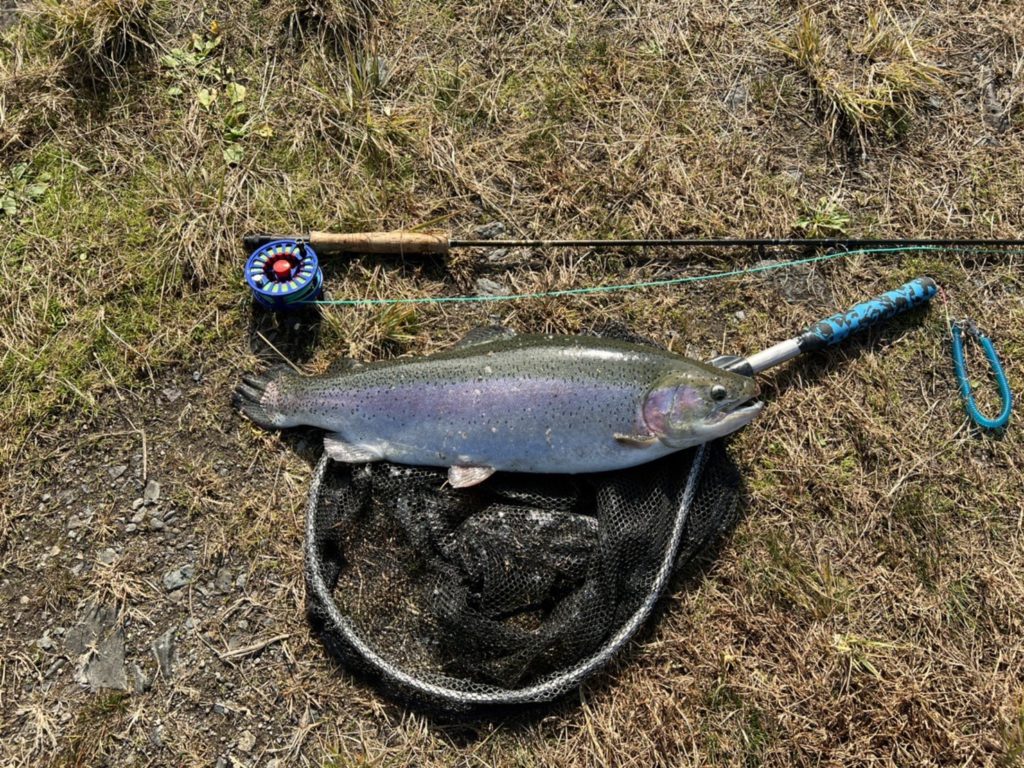 【頂鱒６１ｃｍ】全体
