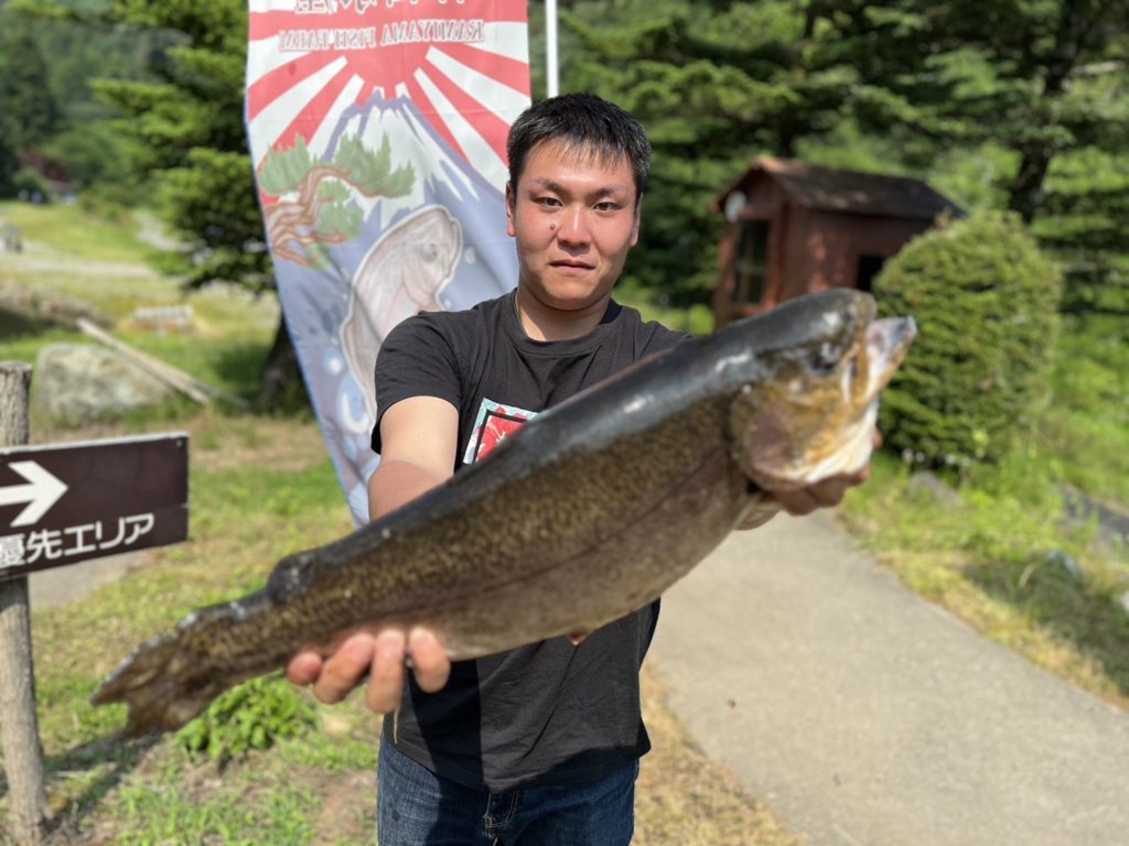 【驚ロック５９ｃｍ】全体