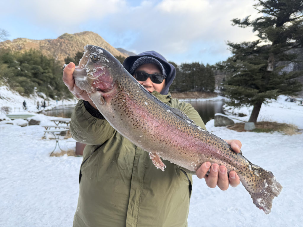 【驚ロック６０ｃｍ】全体