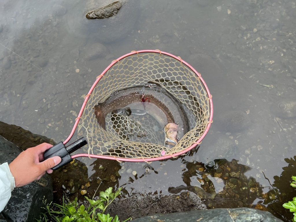 【大岩魚６０ｃｍ】全体