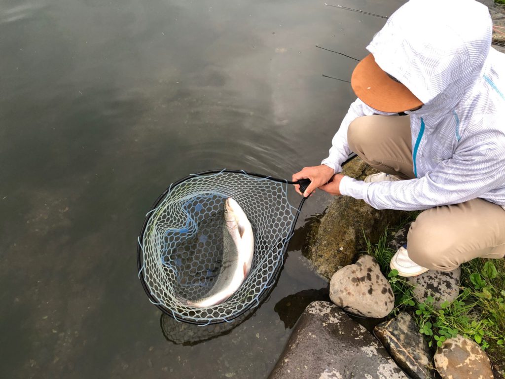 【ロックトラウト５７ｃｍ】全体