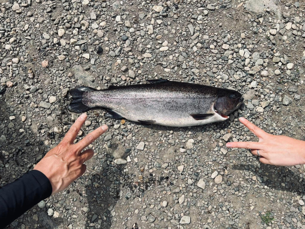 【驚ロック５３ｃｍ】全体