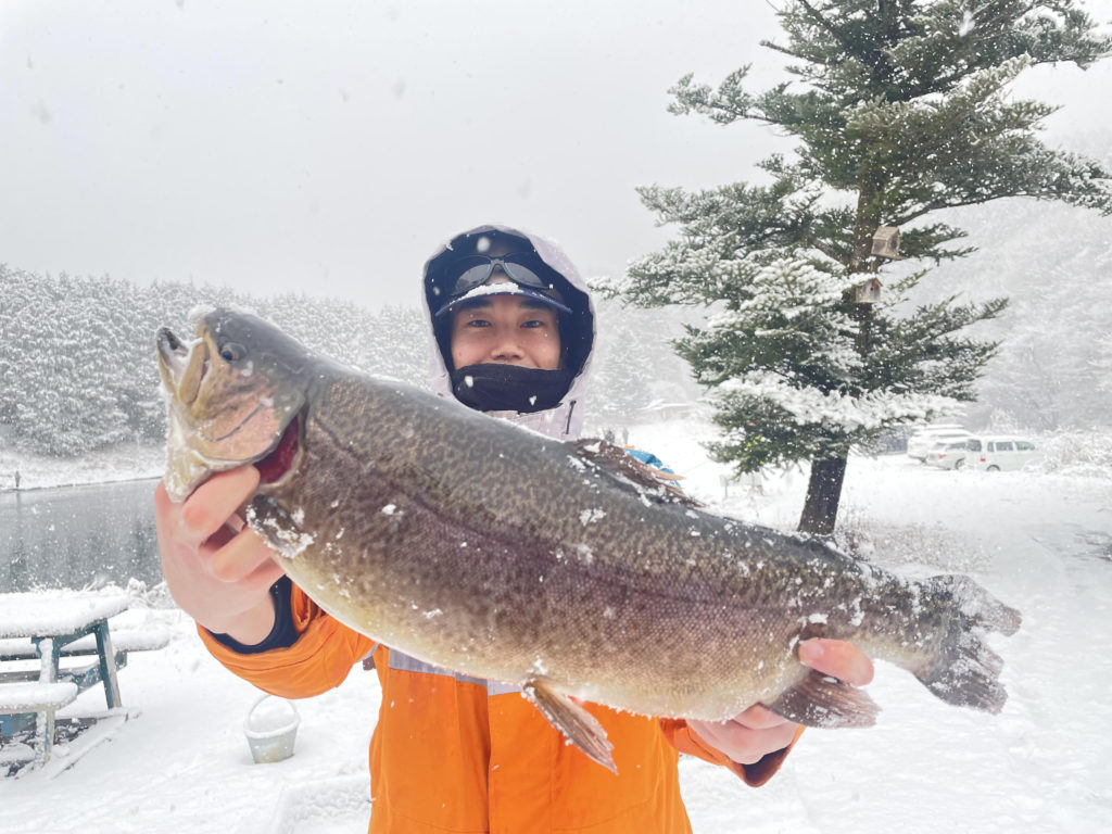 【驚ロック５５ｃｍ】全体