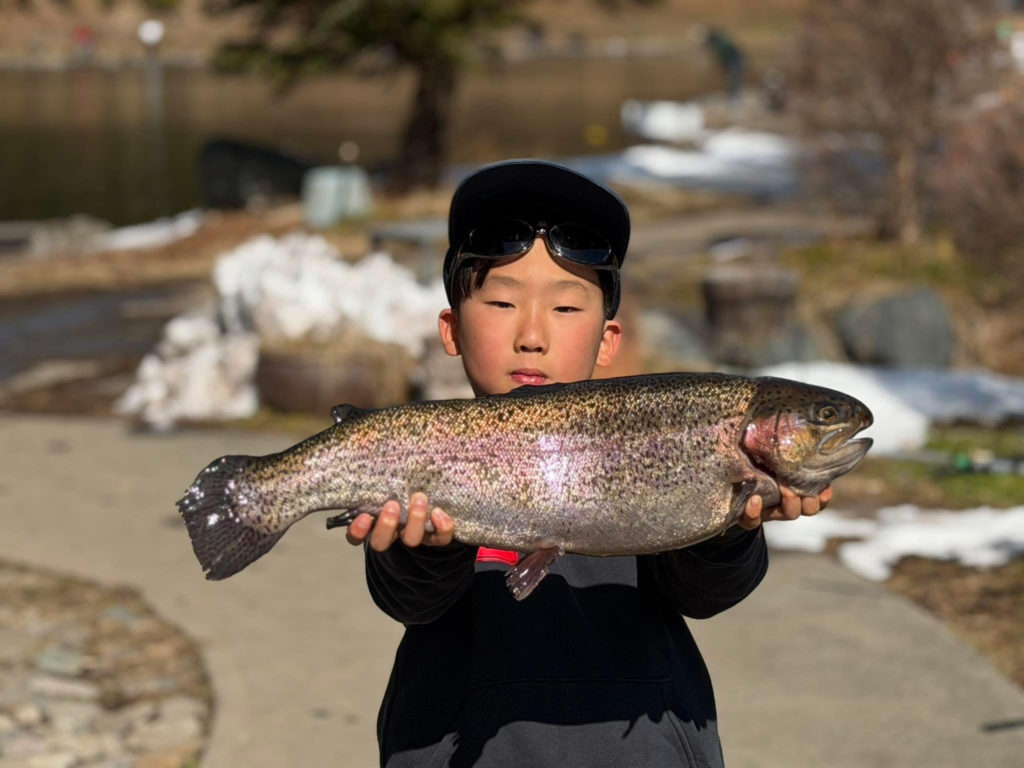 【頂鱒５６ｃｍ】全体