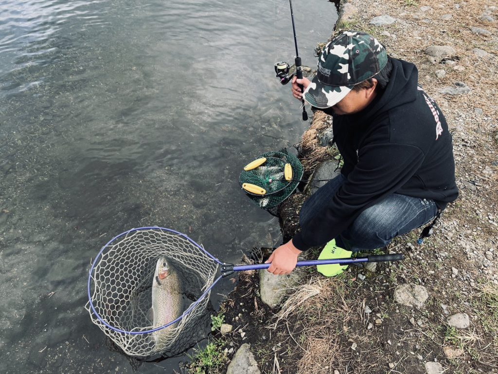 【頂鱒６０ｃｍ】全体