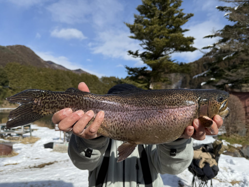 【驚ロック５３ｃｍ】全体
