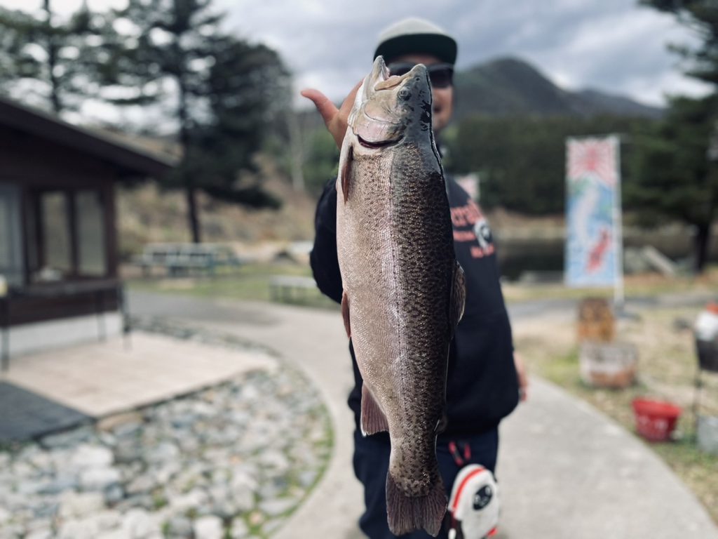 【驚ロック５８ｃｍ】全体