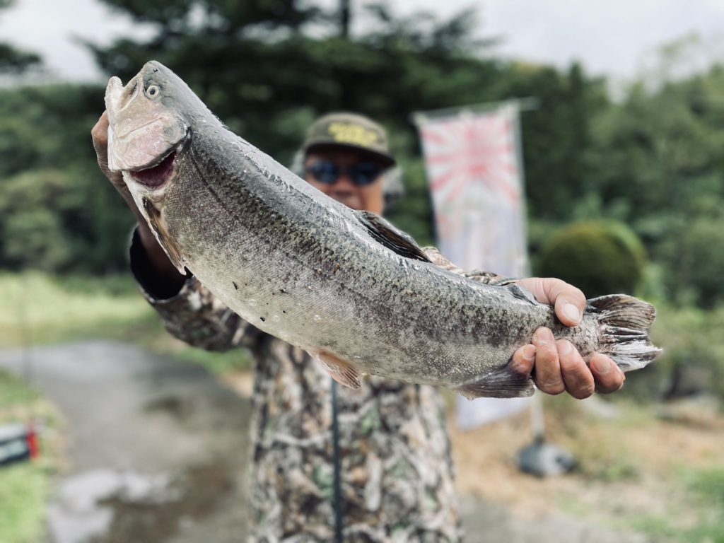 【驚ロック６１ｃｍ】全体