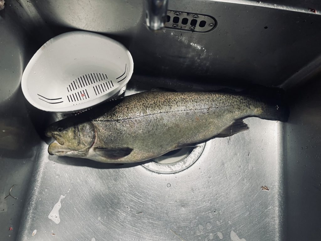 【驚ロック５５ｃｍ】全体