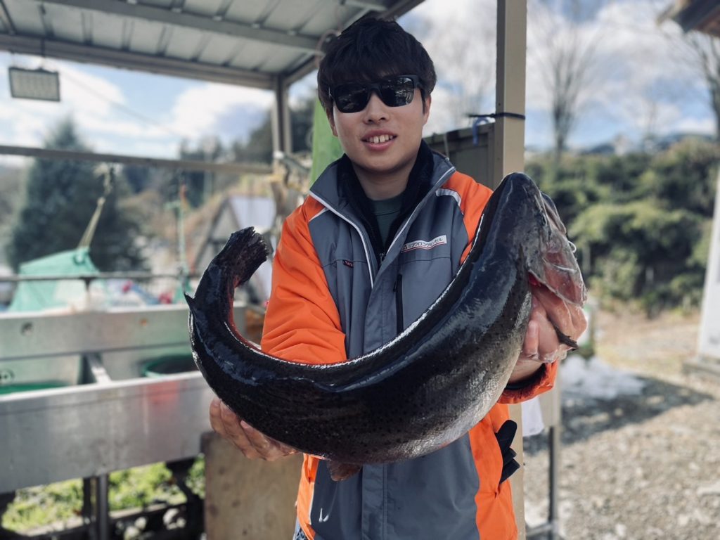 【頂鱒６２ｃｍ】全体