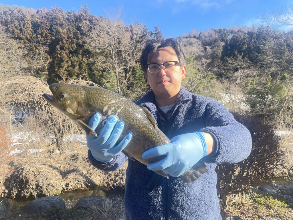 【驚ロック５０ｃｍ】全体