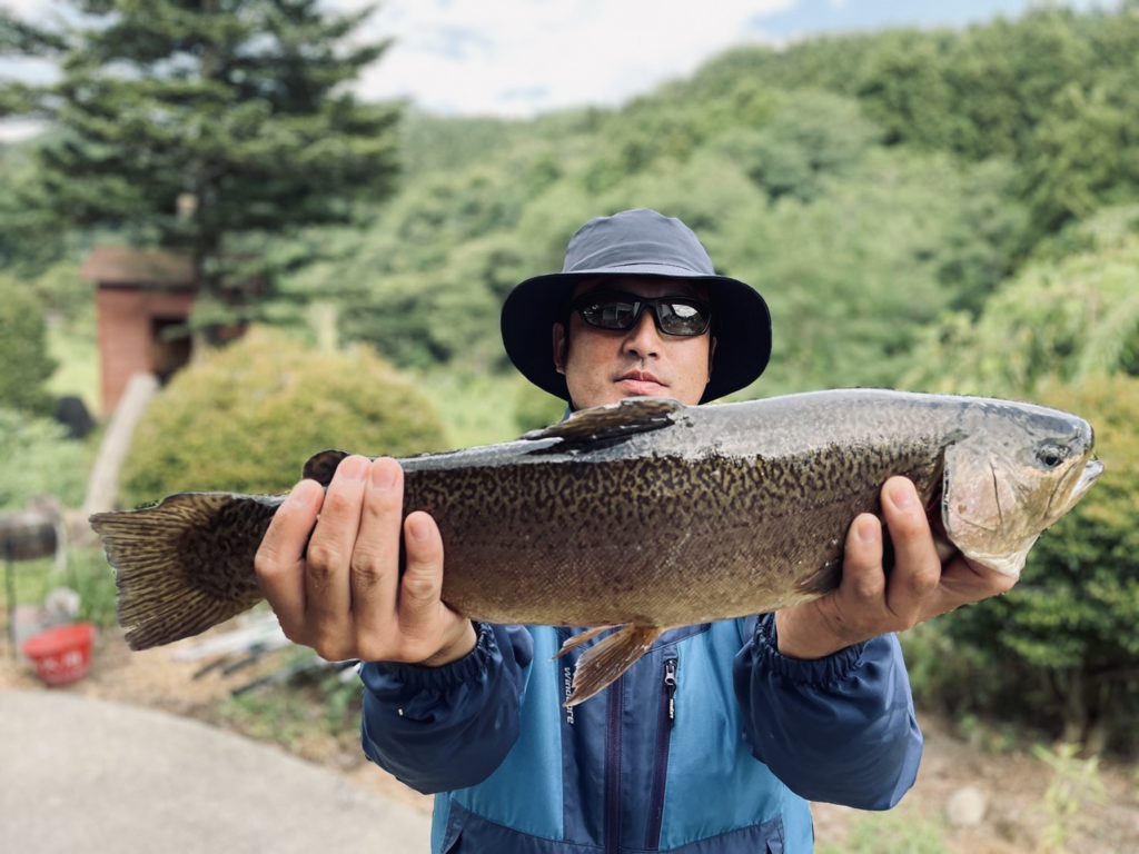 【驚ロック５５ｃｍ】全体